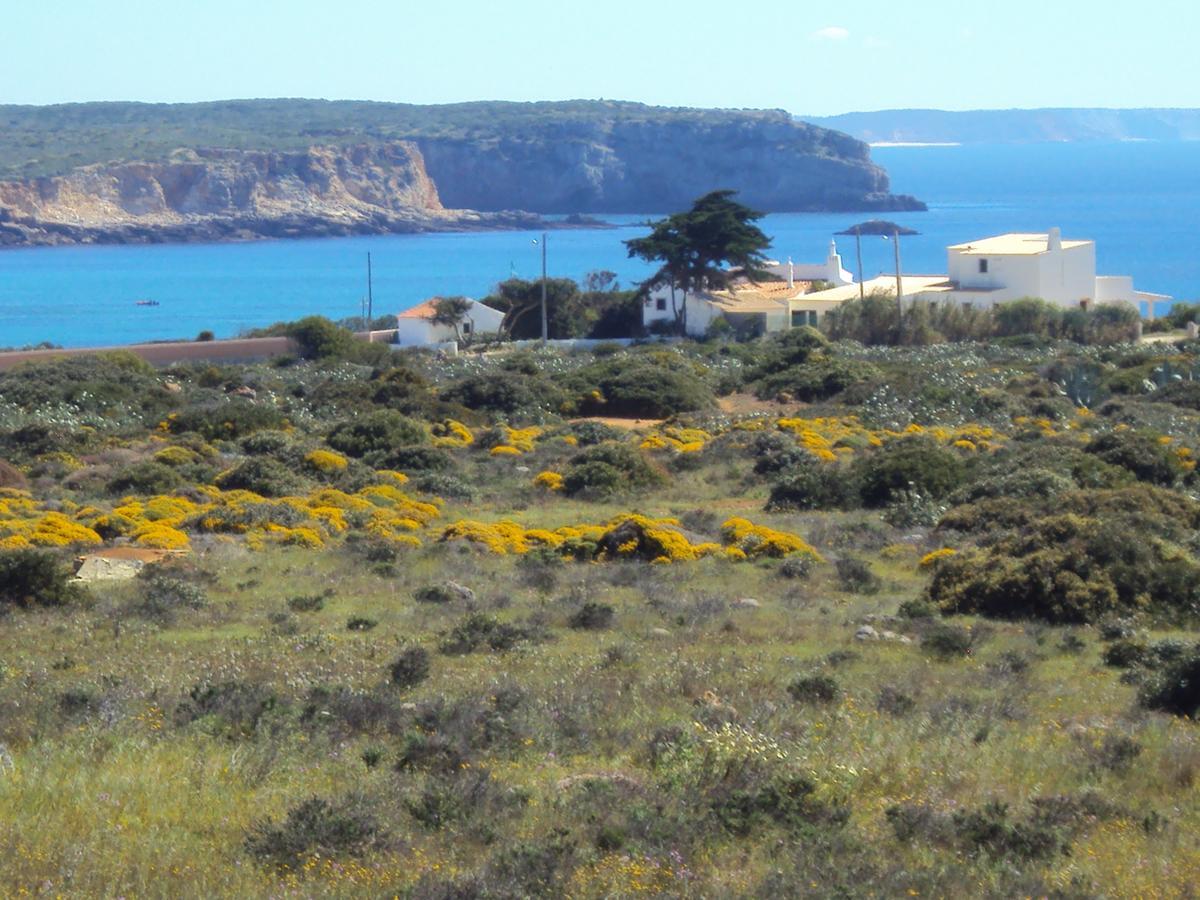 Casa Grilo Hotell Sagres Exteriör bild